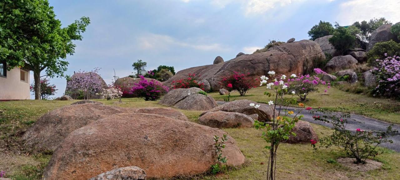 Mdzimba Mountain Lodge Ezulwini Ngoại thất bức ảnh